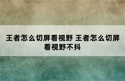 王者怎么切屏看视野 王者怎么切屏看视野不抖